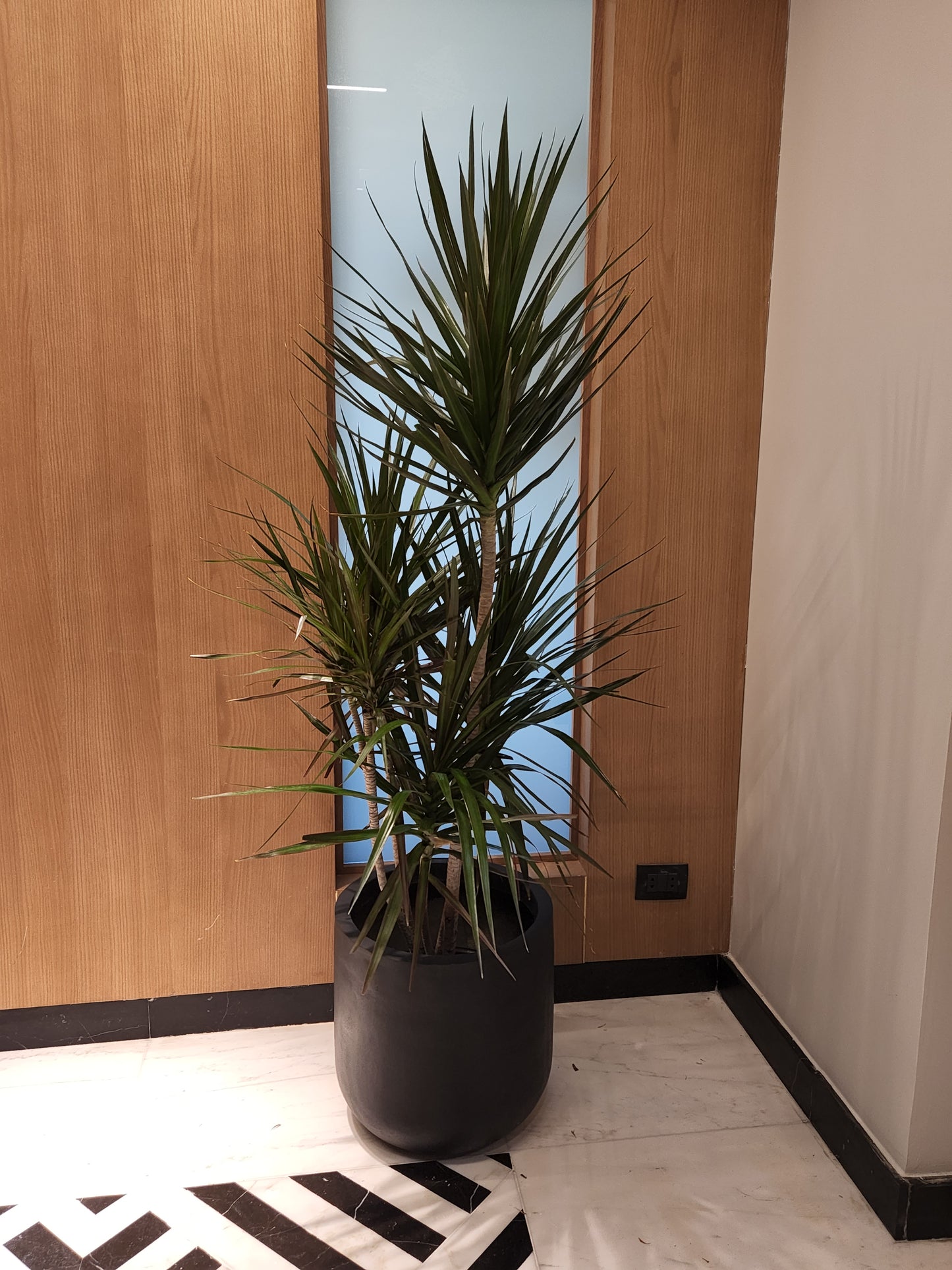 30cm Fiber Glass Pot