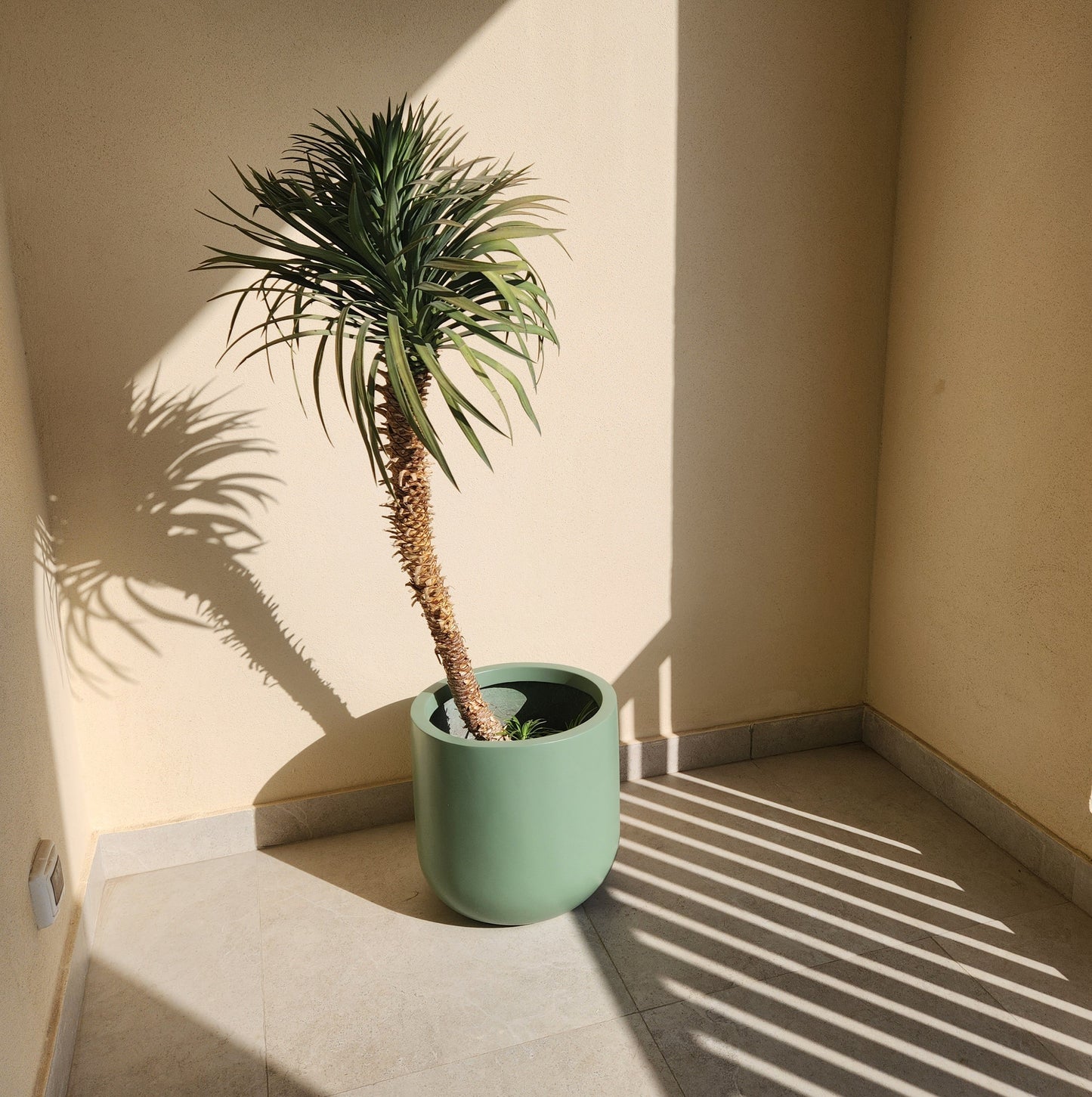 50cm Fiber Glass Pot