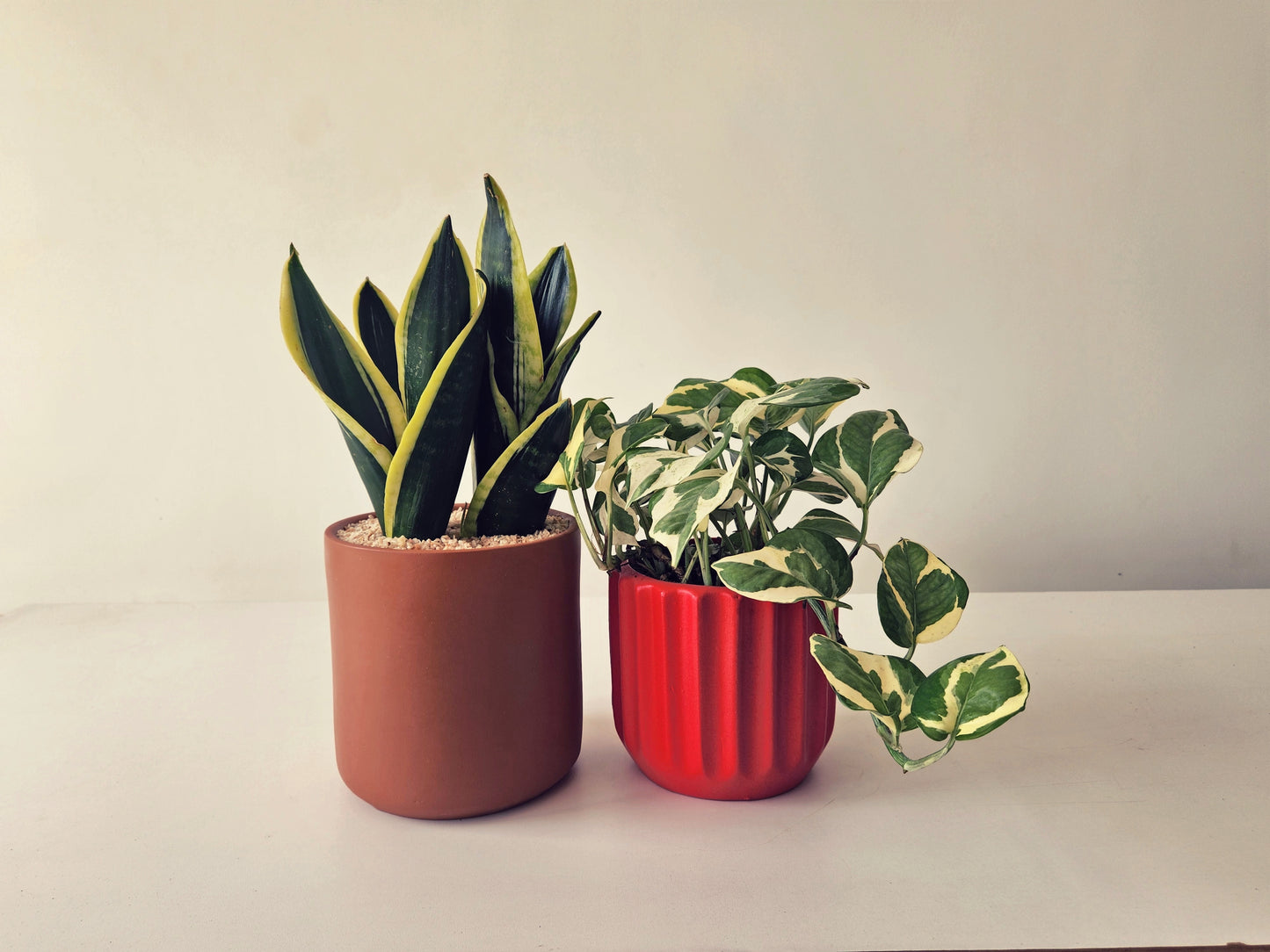 Low Light Duos 13cm & 15cm