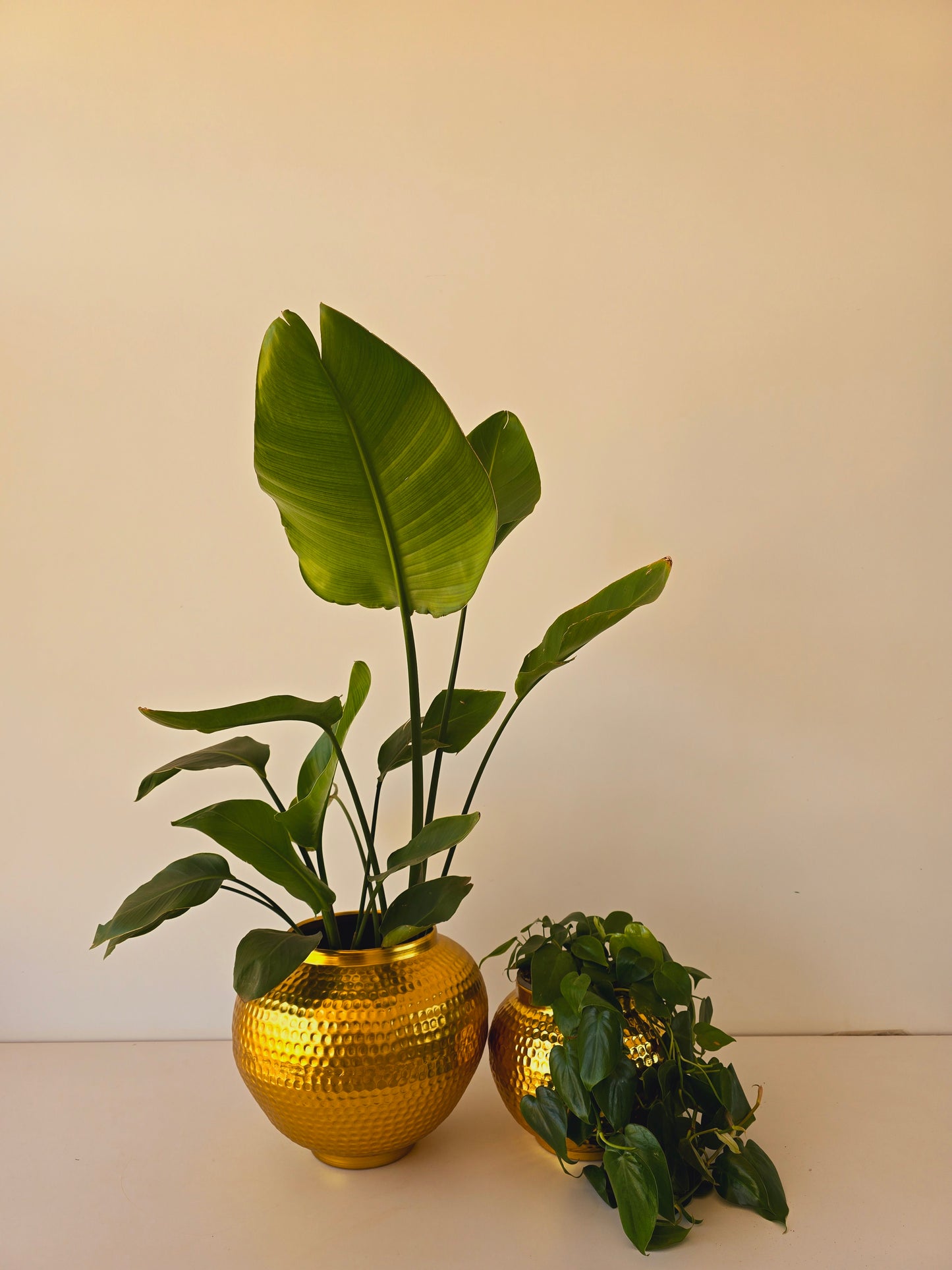 Hammered Metal Planters
