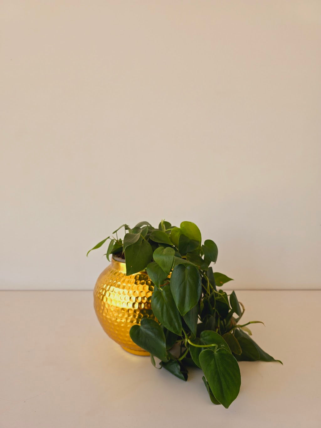 Hammered Metal Planters