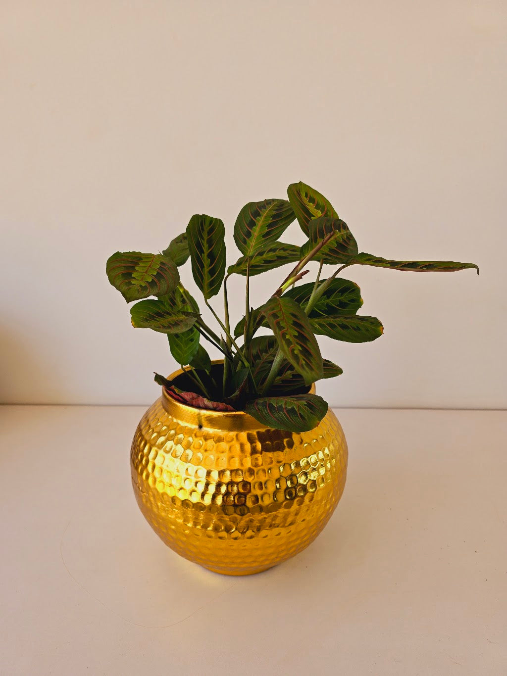 Hammered Metal Planters