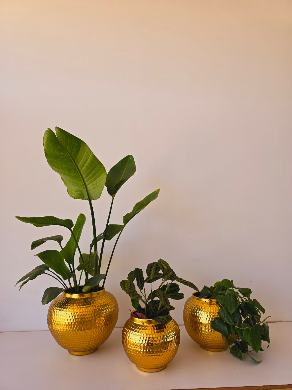 Hammered Metal Planters