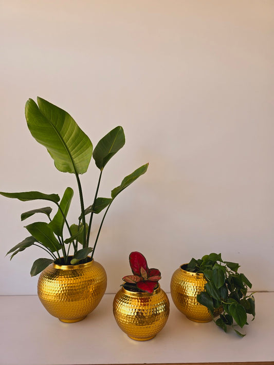 Hammered Metal Planters