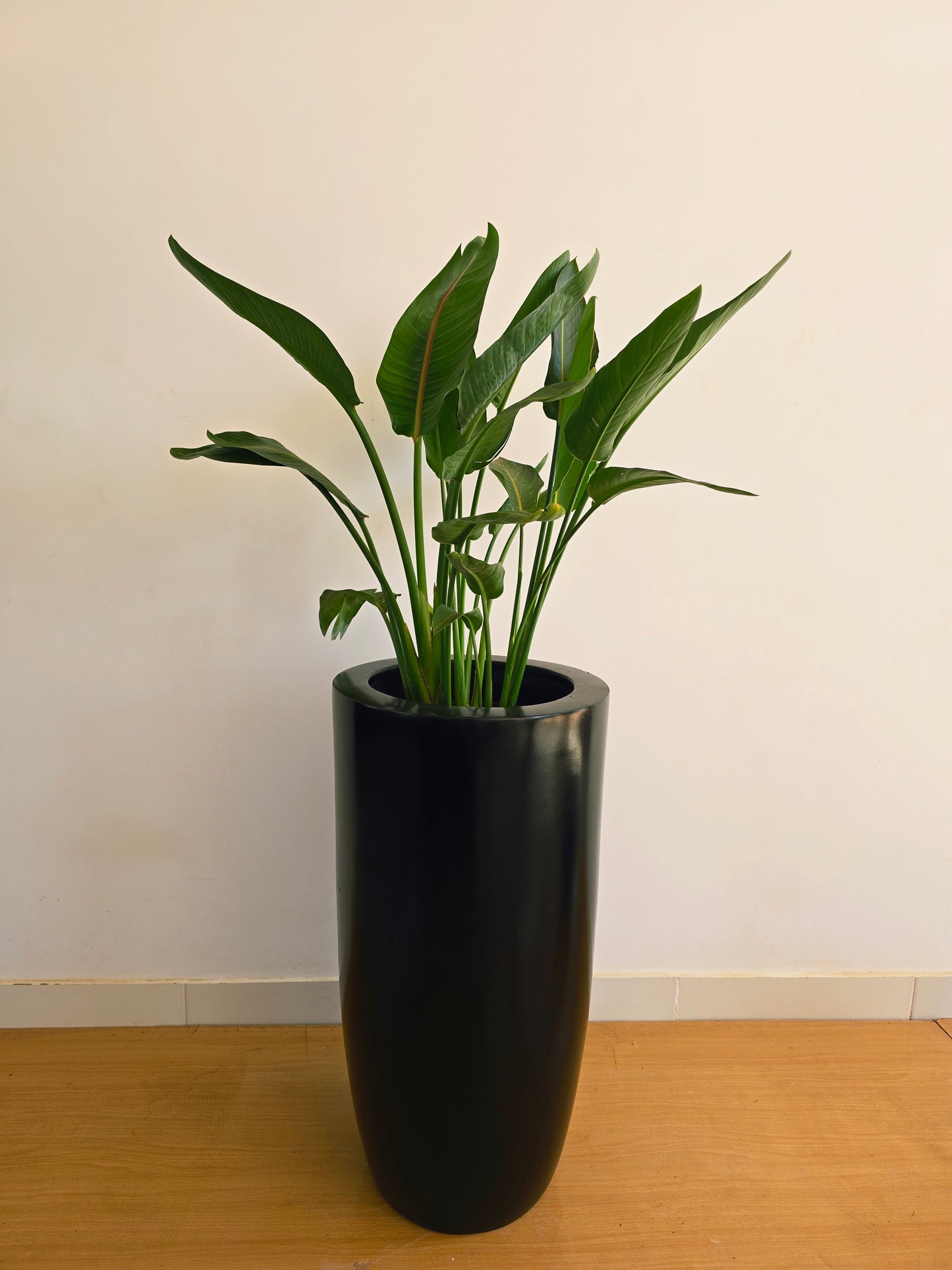 Long Slim Fiber Planter
