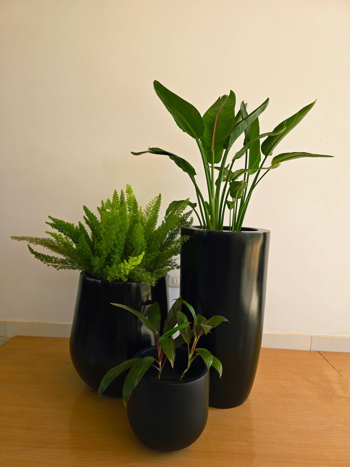 Large Fiberglass Trio Shapes
