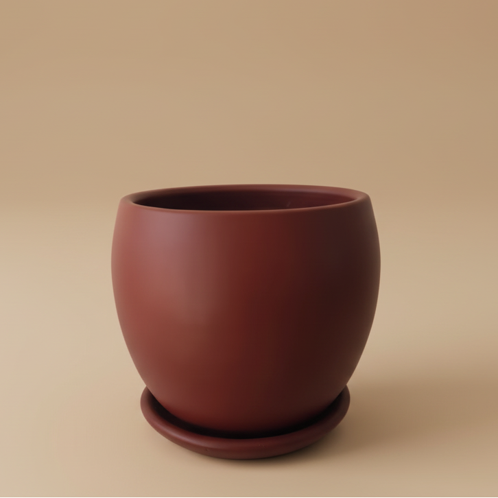 Curvy Planter Multiple sizes - Plantcultcairo