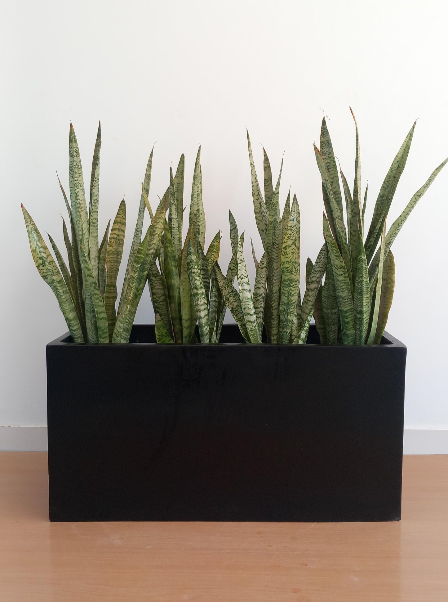 Rectangular Fiber Pots