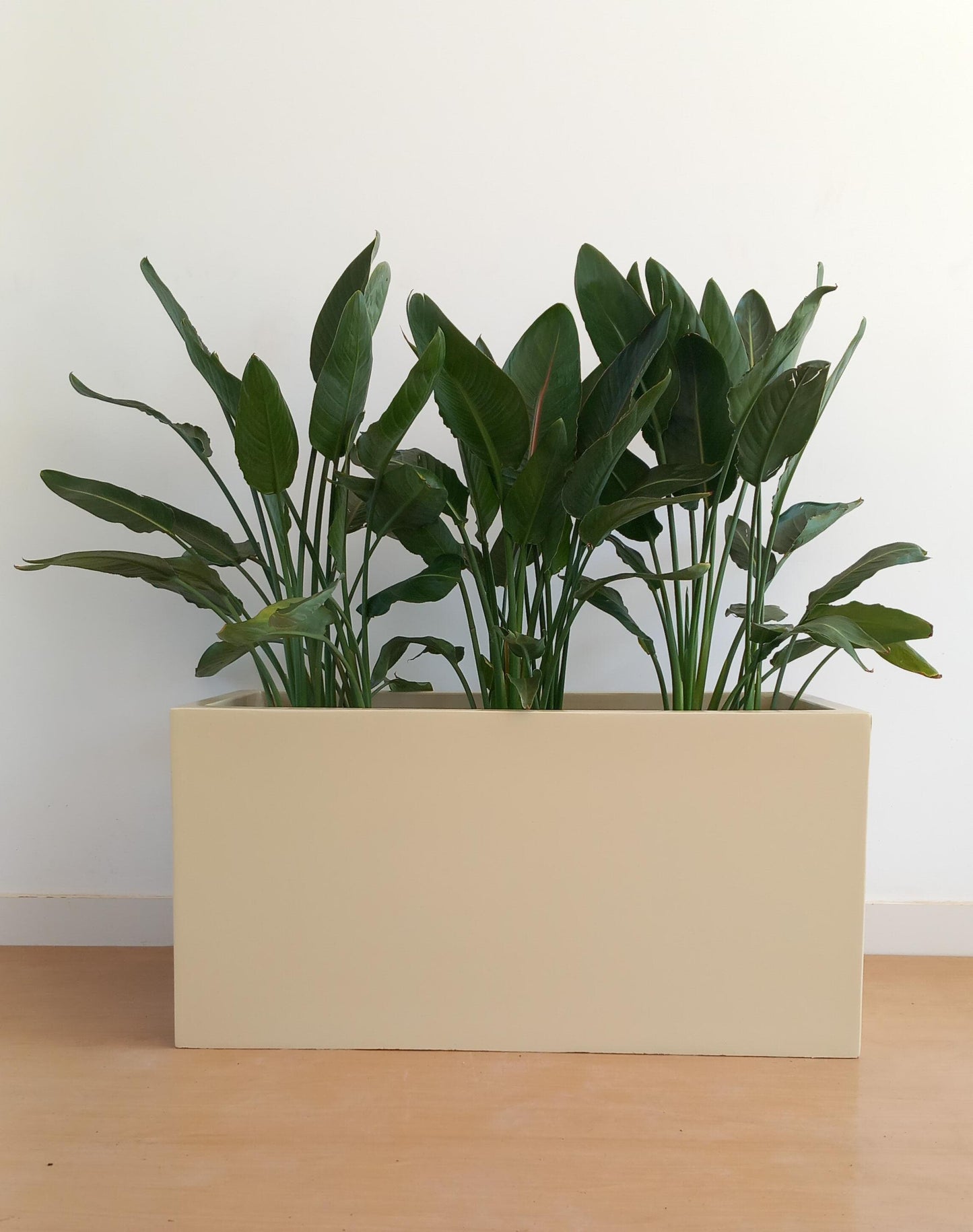Rectangular Fiber Pots