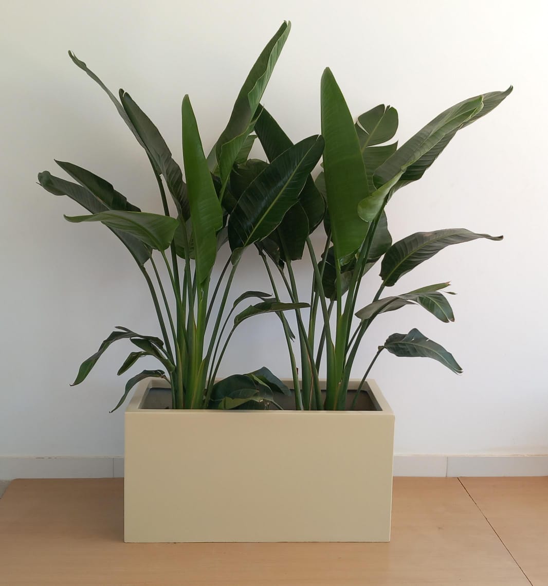 Rectangular Fiber Pots