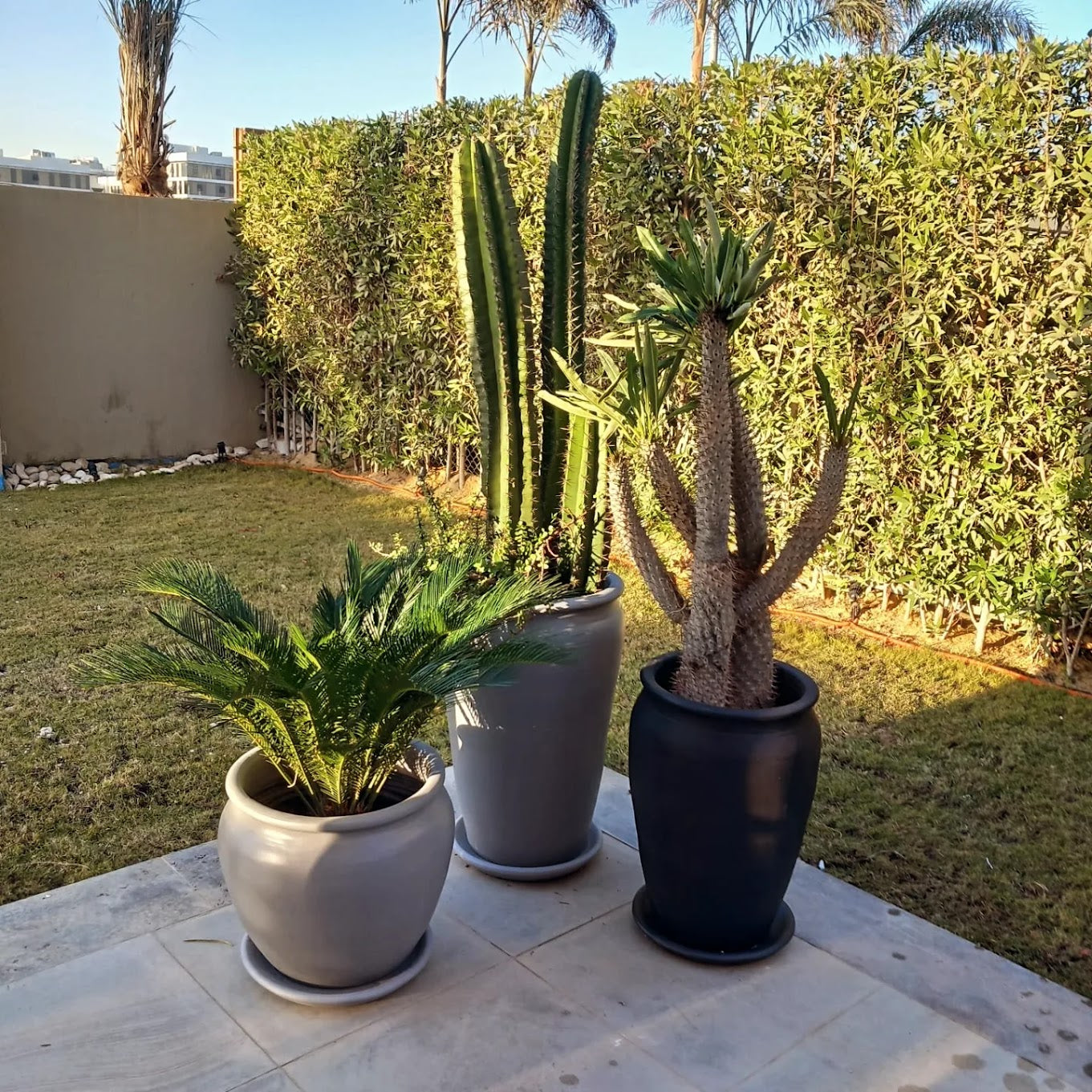 Large Outdoor Sets - Plastic Pots