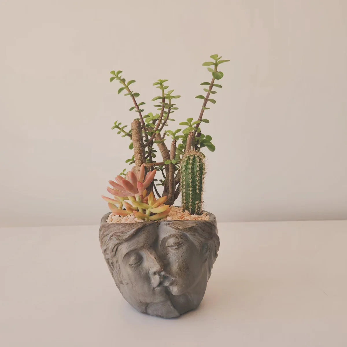 Pre Potted Kissbound