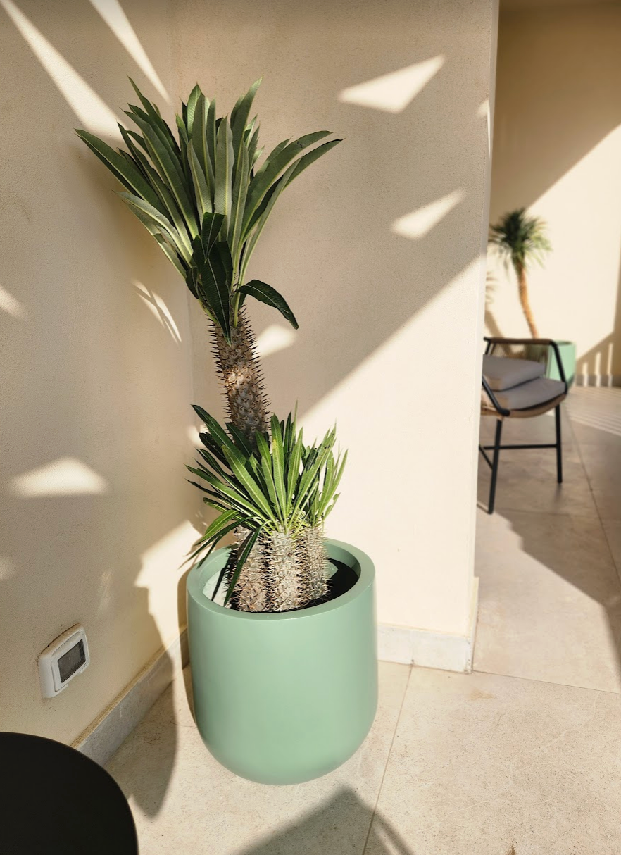 50cm Fiber Glass Pot