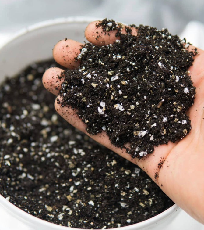 Potting Soil