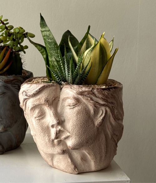 Pre Potted Kissbound