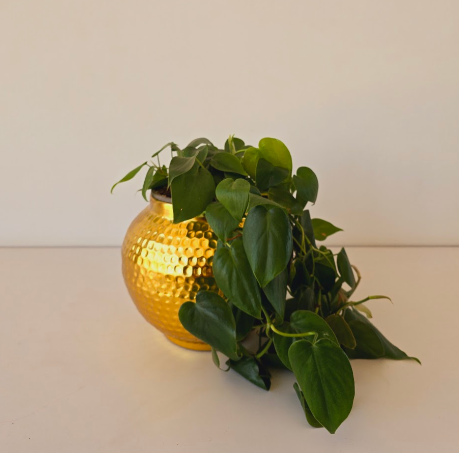 Hammered Metal Planters