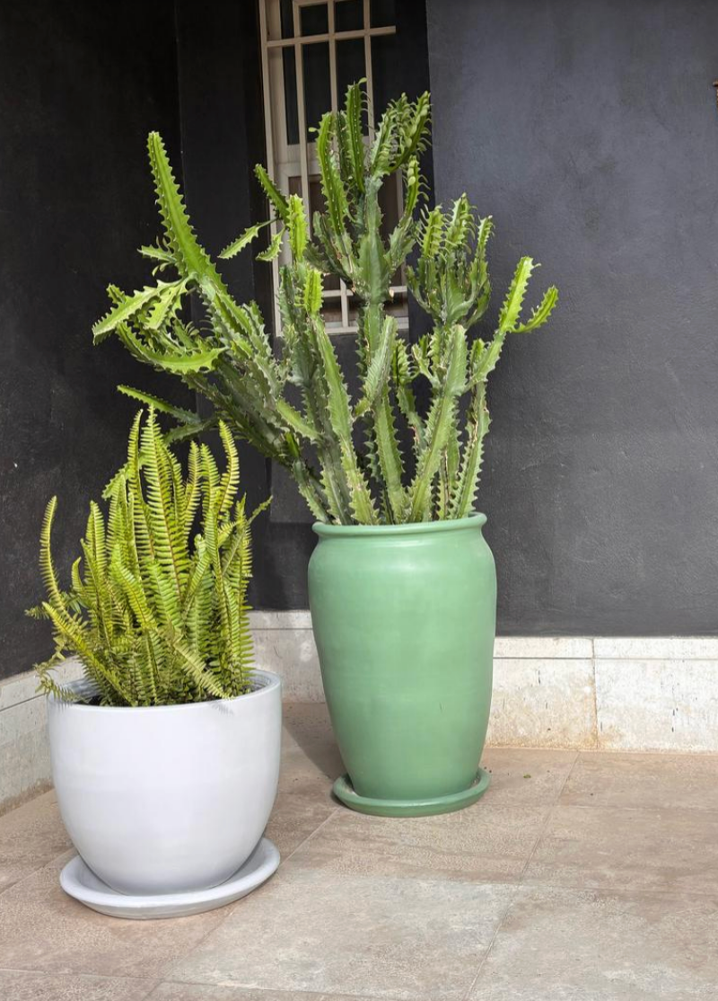 Large Outdoor Sets - Plastic Pots