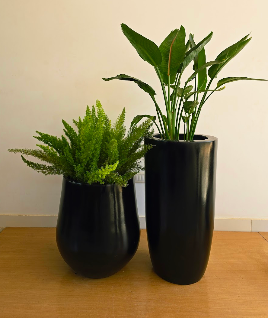 Belly Fiberglass Planter