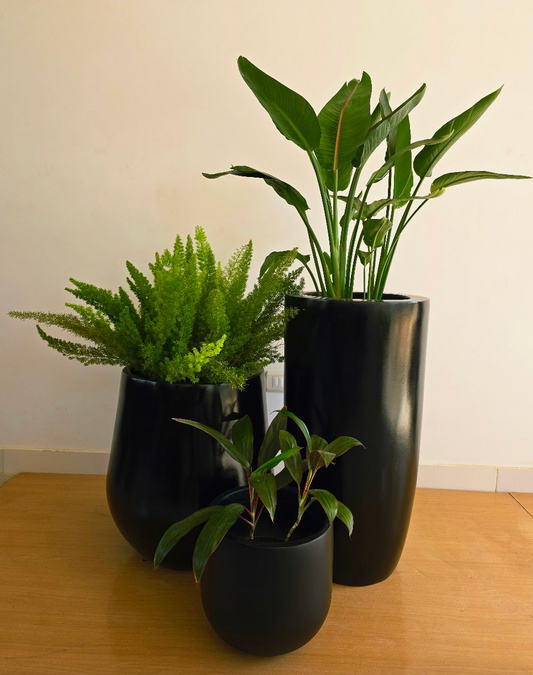 Large Outdoor Sets - Plastic Pots