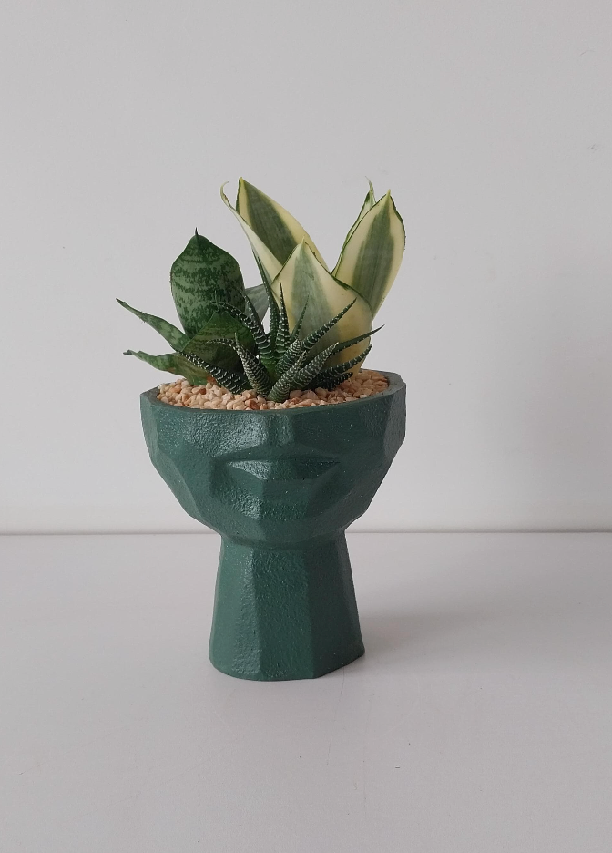 Half face Planter