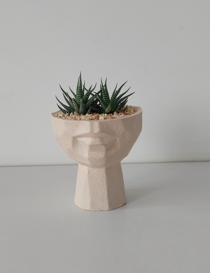 Half face Planter