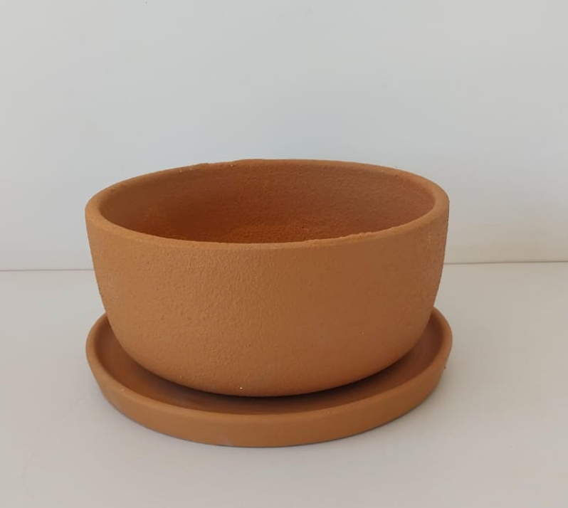 Potted Bowl Planter