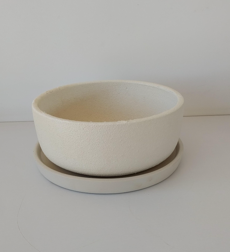 Potted Bowl Planter