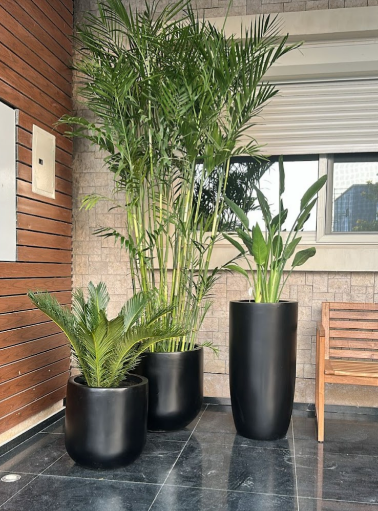 Fiberglass Pots With Plants (Potted)
