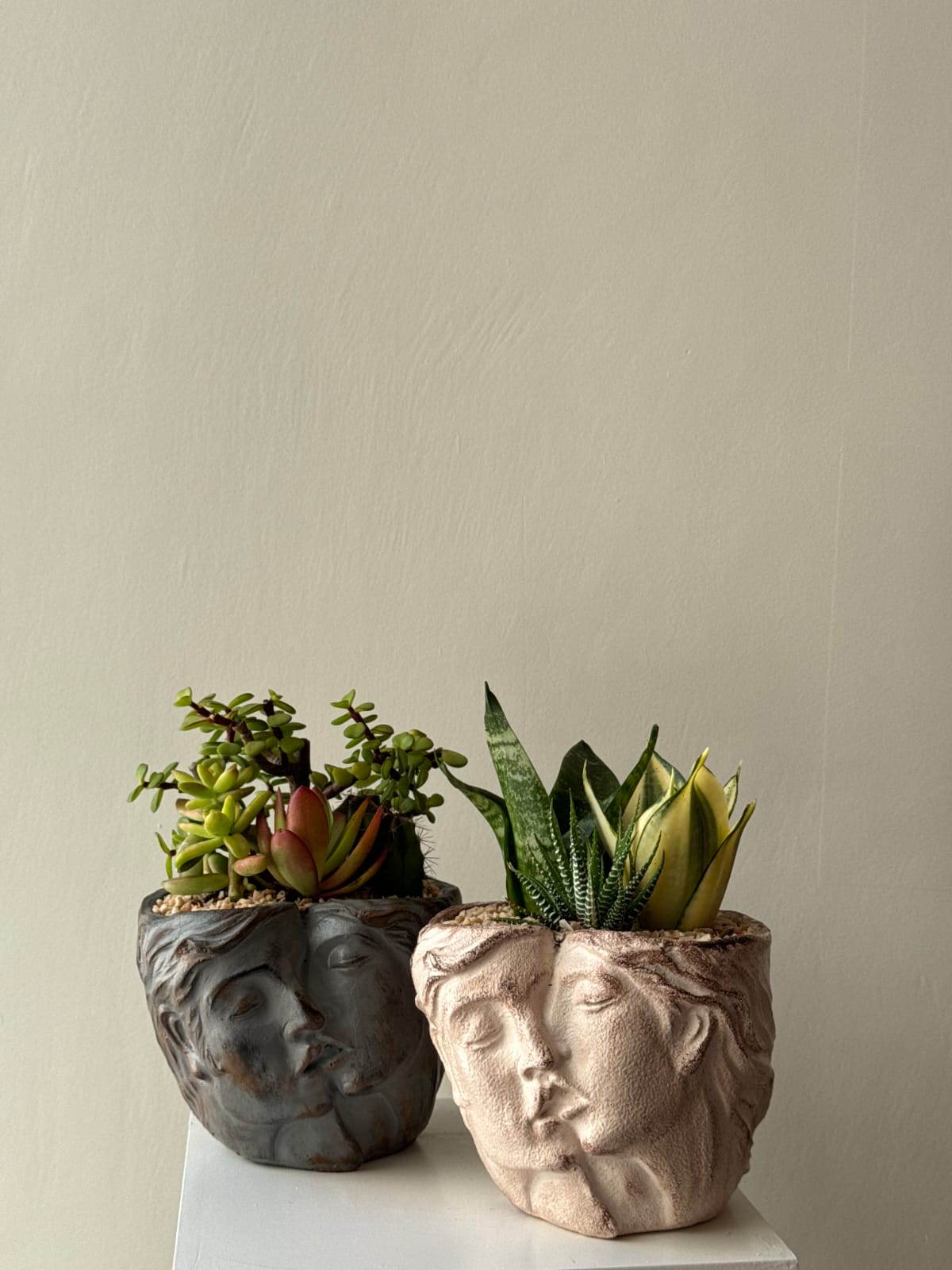 Pre Potted Kissbound