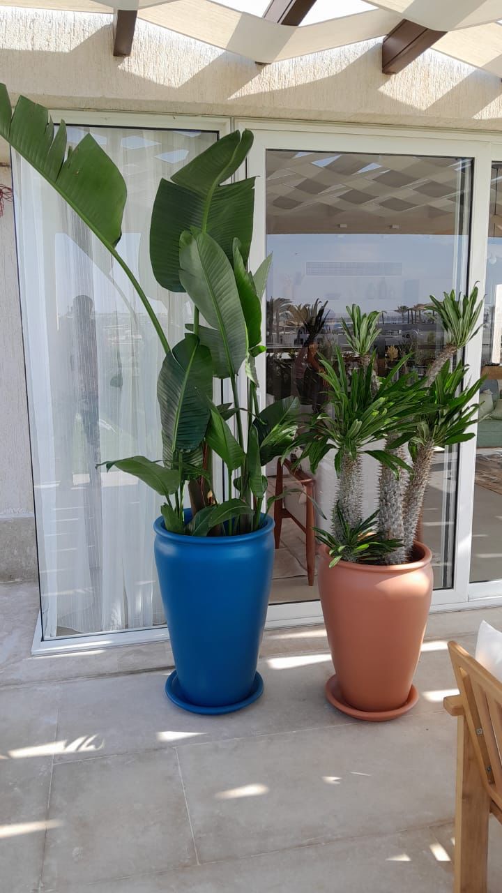 Large Outdoor Sets - Plastic Pots - Plantcultcairo