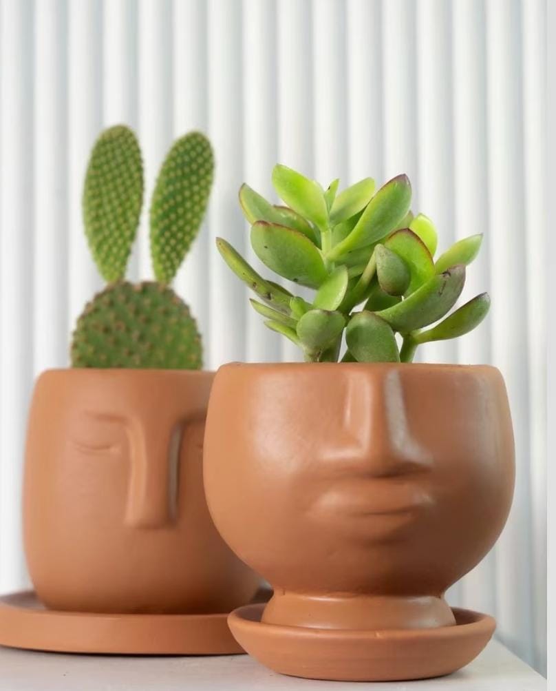 pot head succulent Pot Head Planters with Plants – Duo & Trio Sets