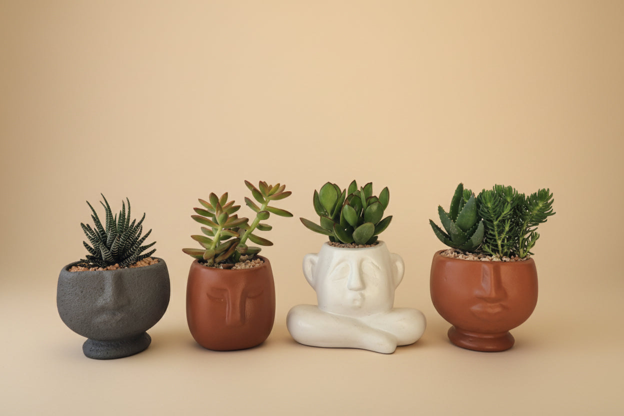 Pot heads - sets - Plantcultcairo