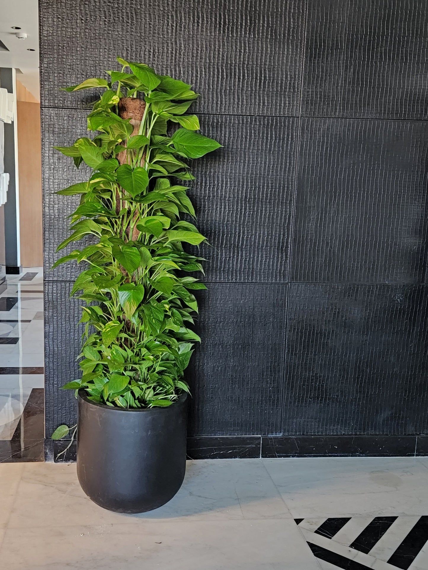 50cm Fiber Glass Pot