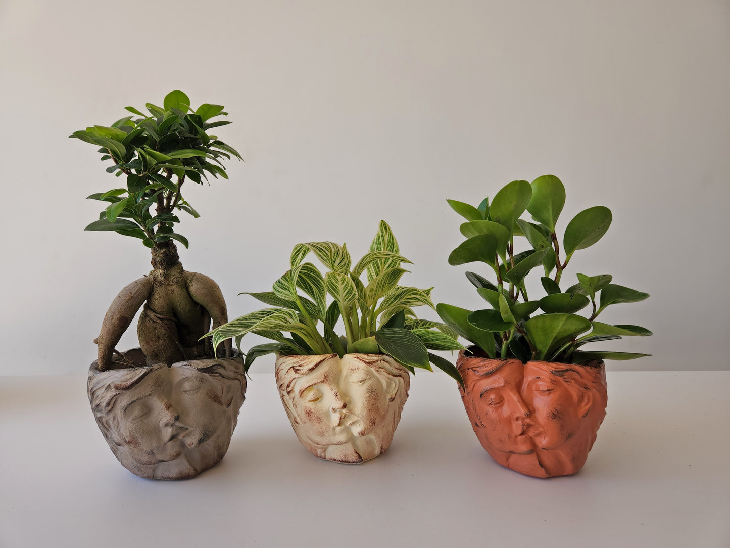 KissBound Planter - Plantcultcairo