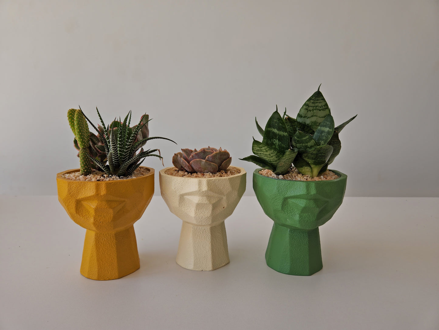 Half face Planter