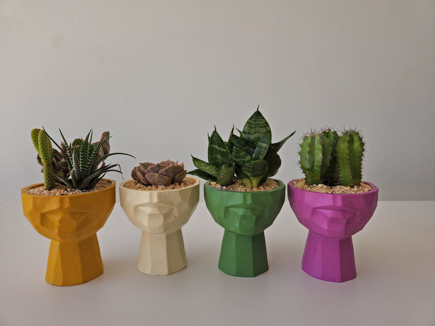 Half face Planter