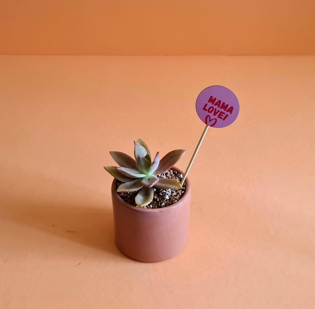 Mother's Day Sticks & Cards