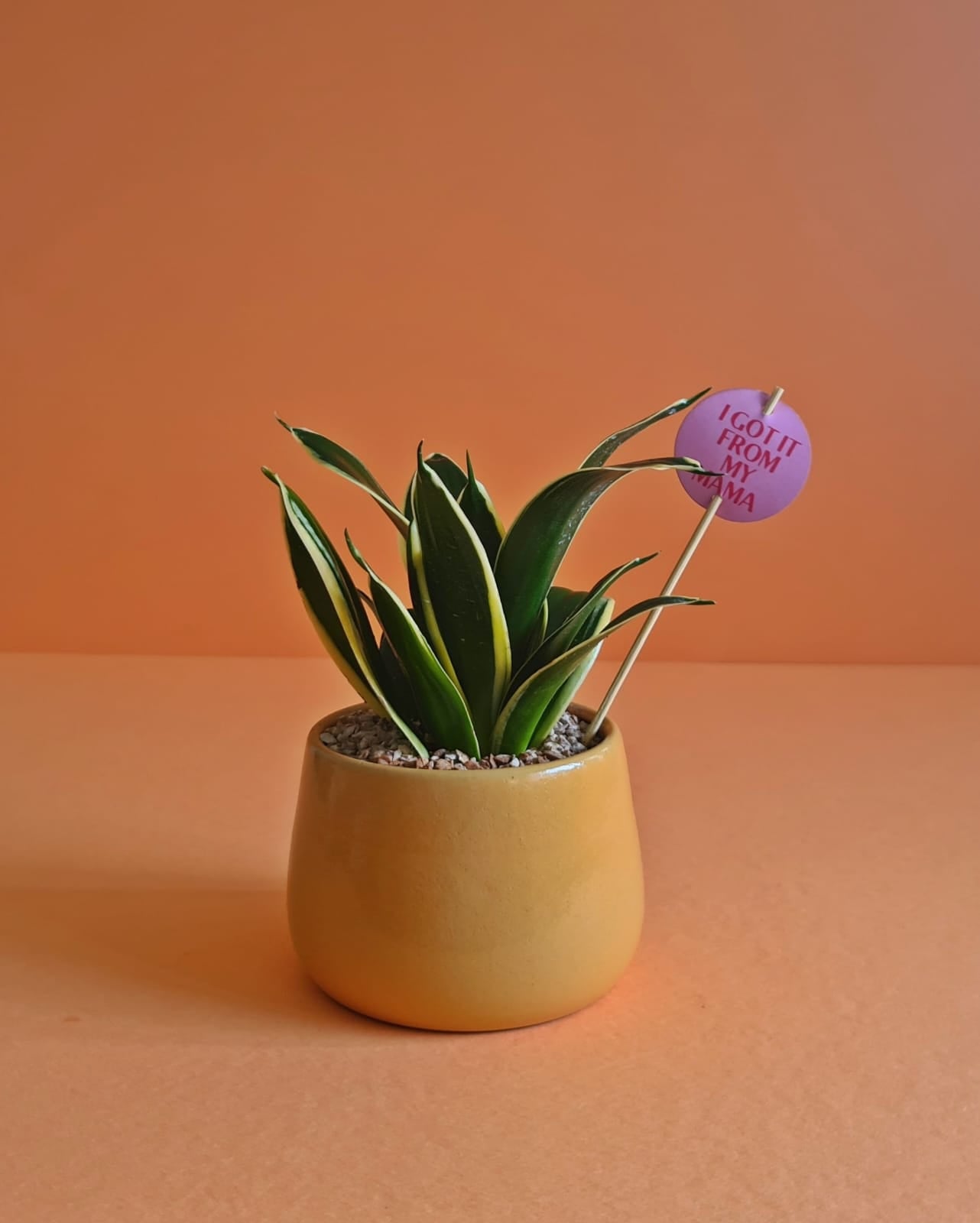 Mother's Day Sticks & Cards