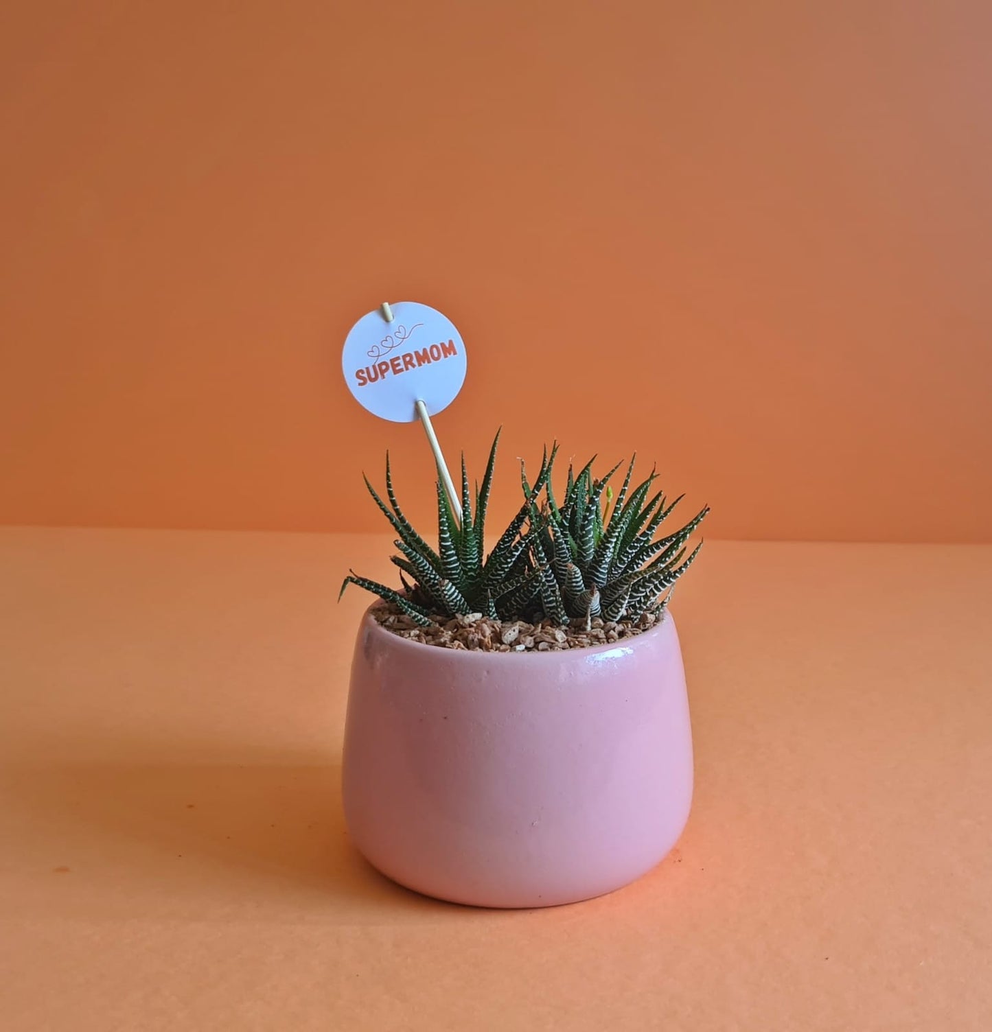 Mother's Day Sticks & Cards