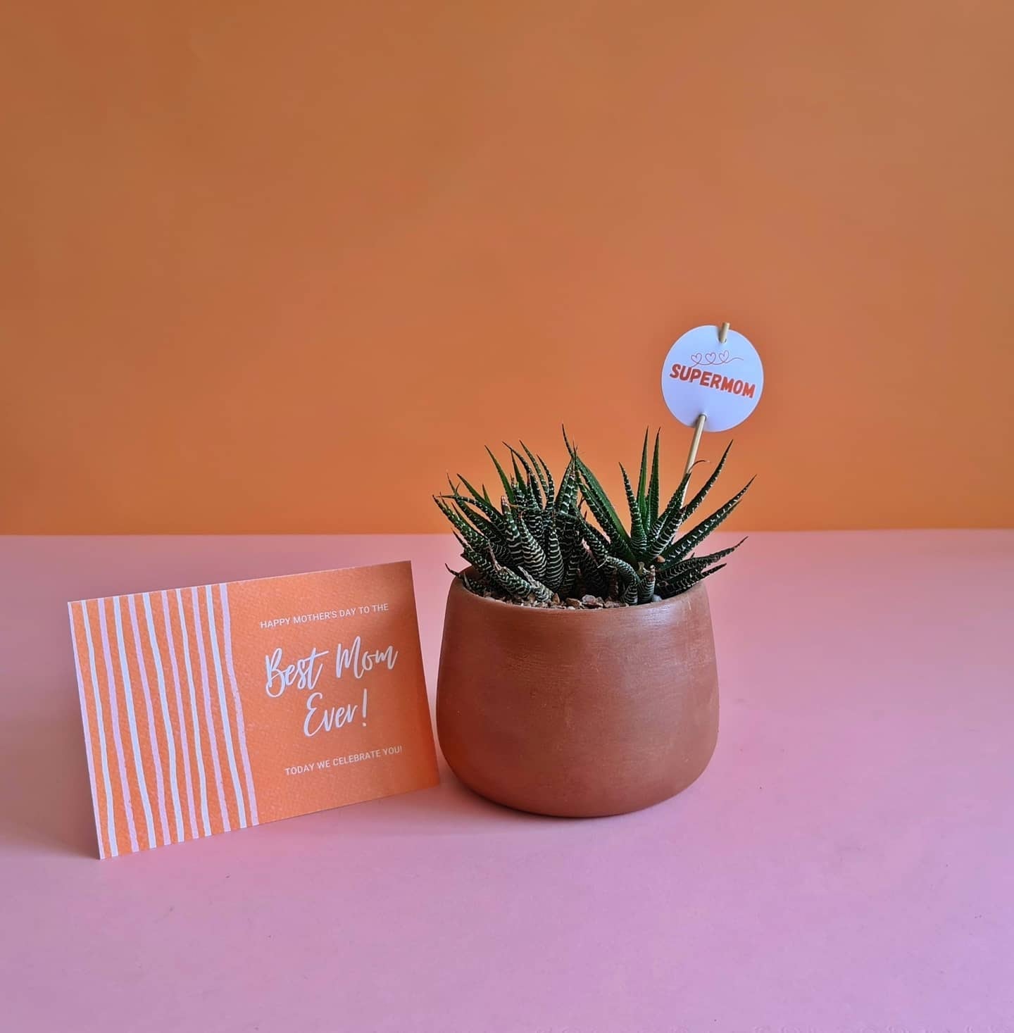 Mother's Day Sticks & Cards