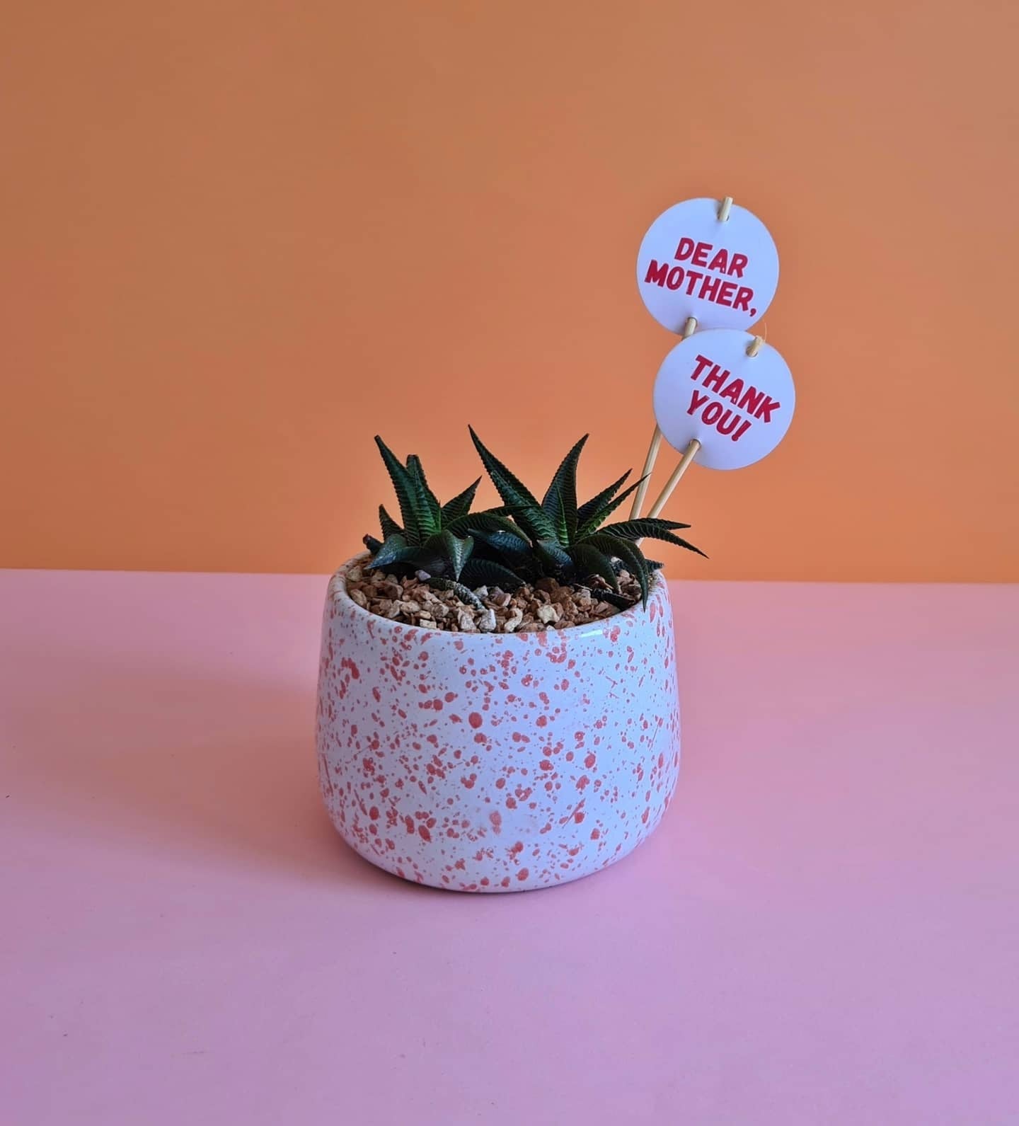 Mother's Day Sticks & Cards