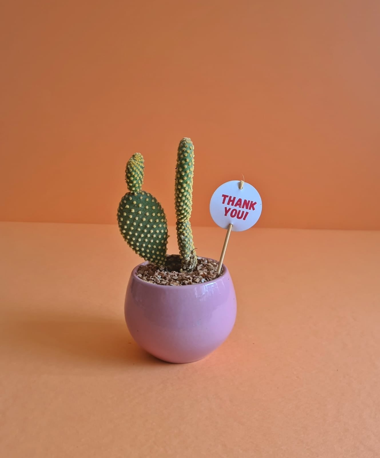 Mother's Day Sticks & Cards