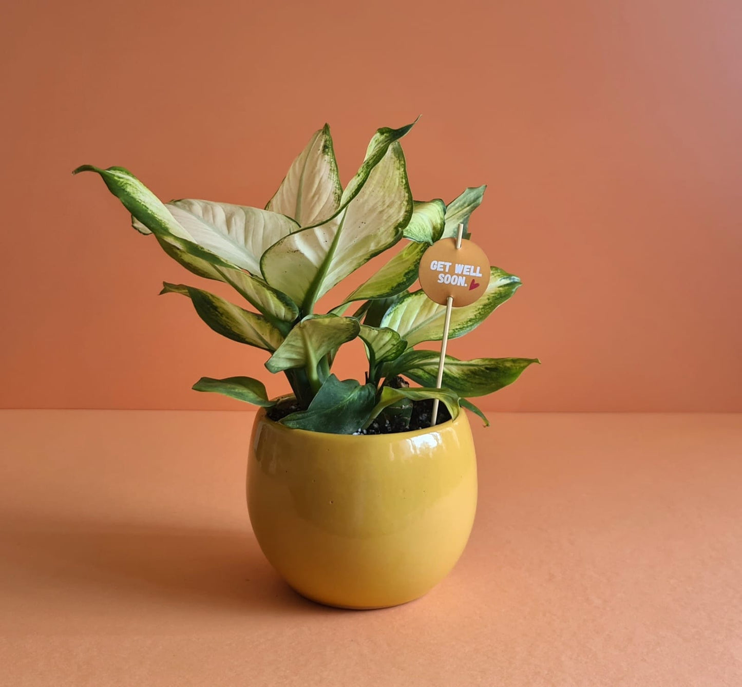 Mother's Day Sticks & Cards