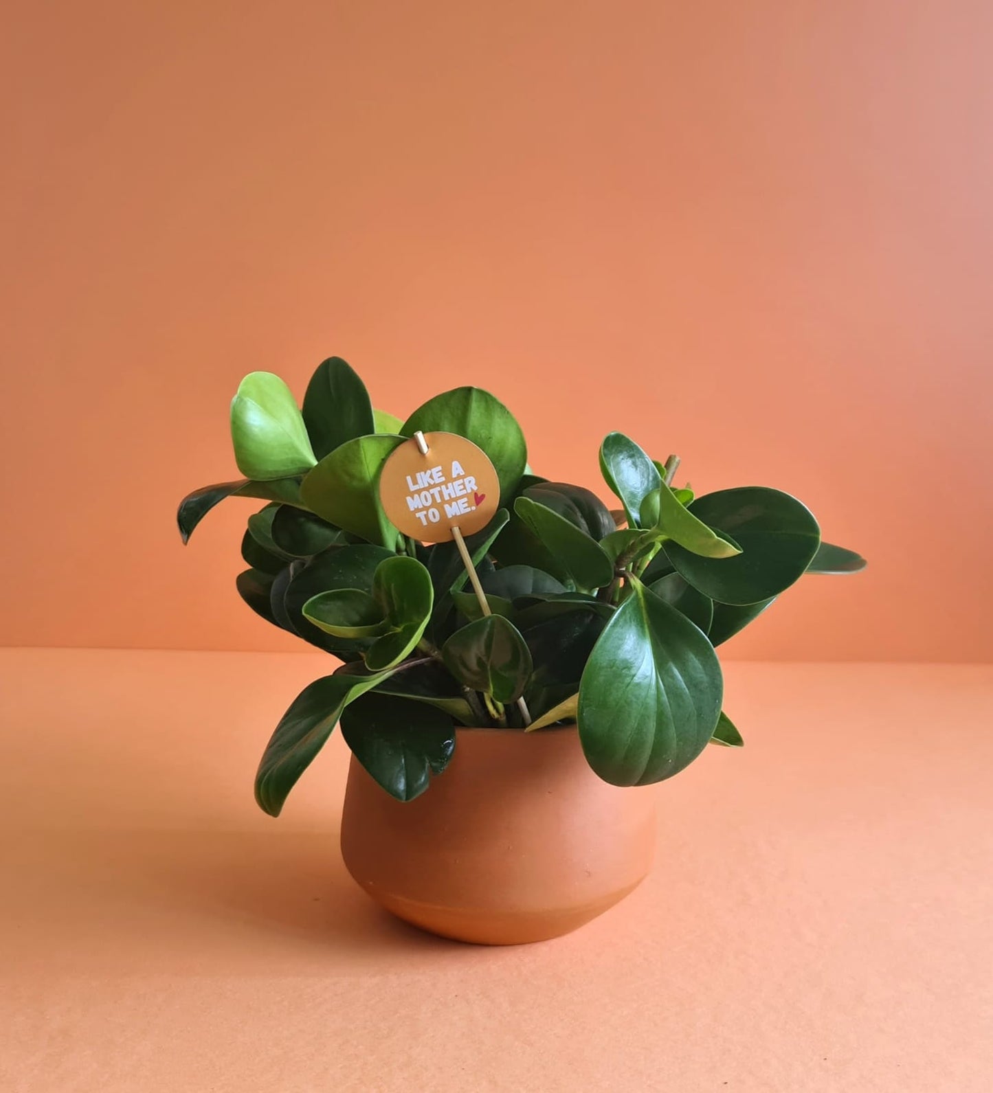 Mother's Day Sticks & Cards