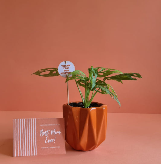 Mother's Day Sticks & Cards