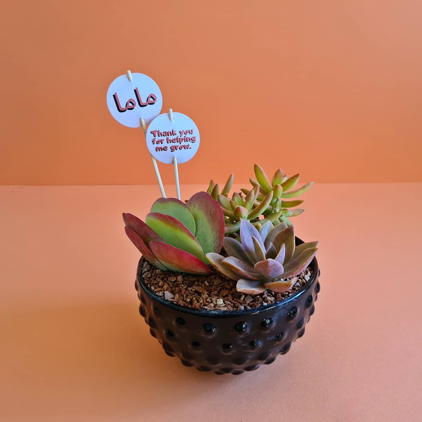 Mother's Day Sticks & Cards