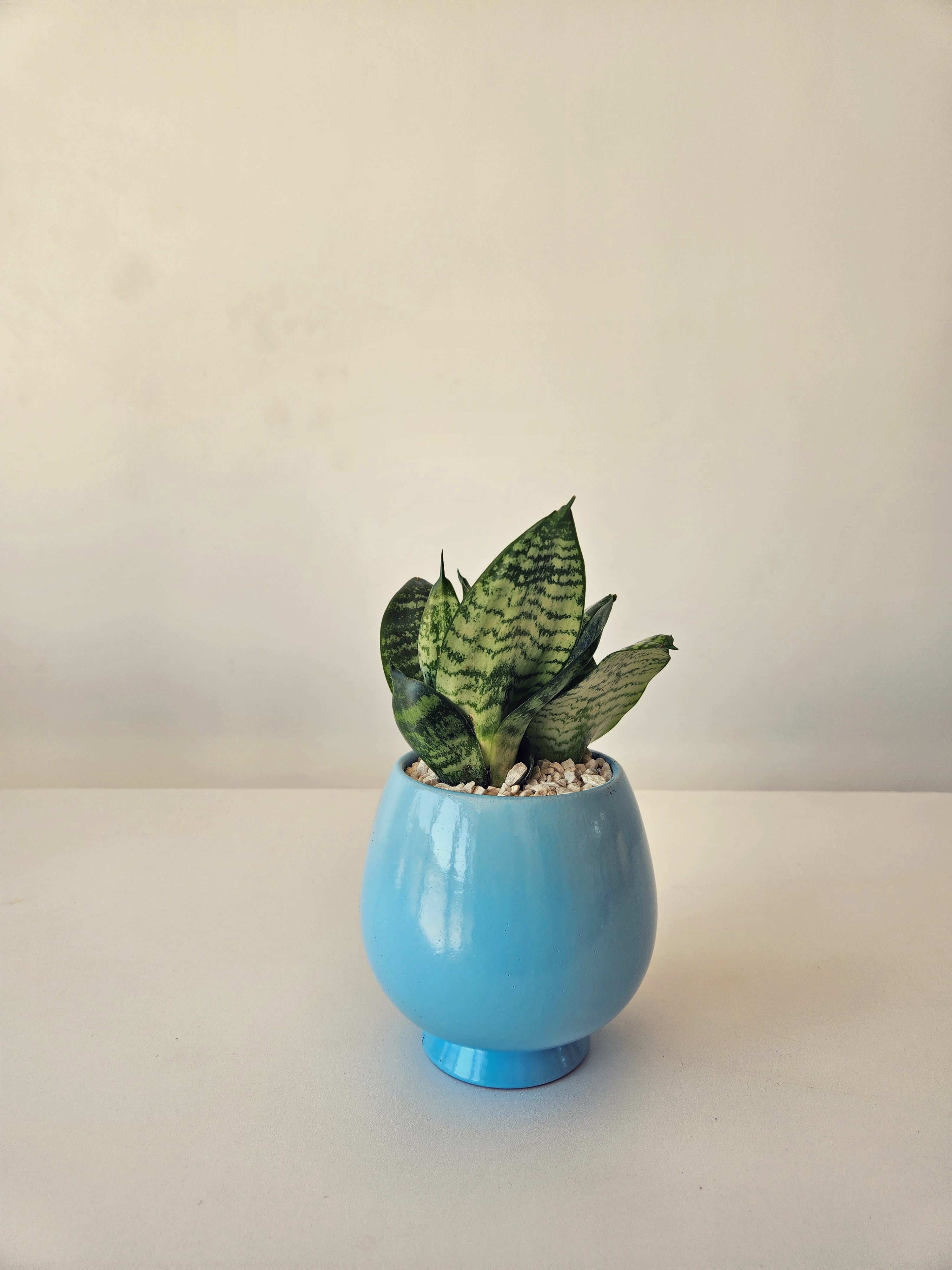 Pedestal Planter