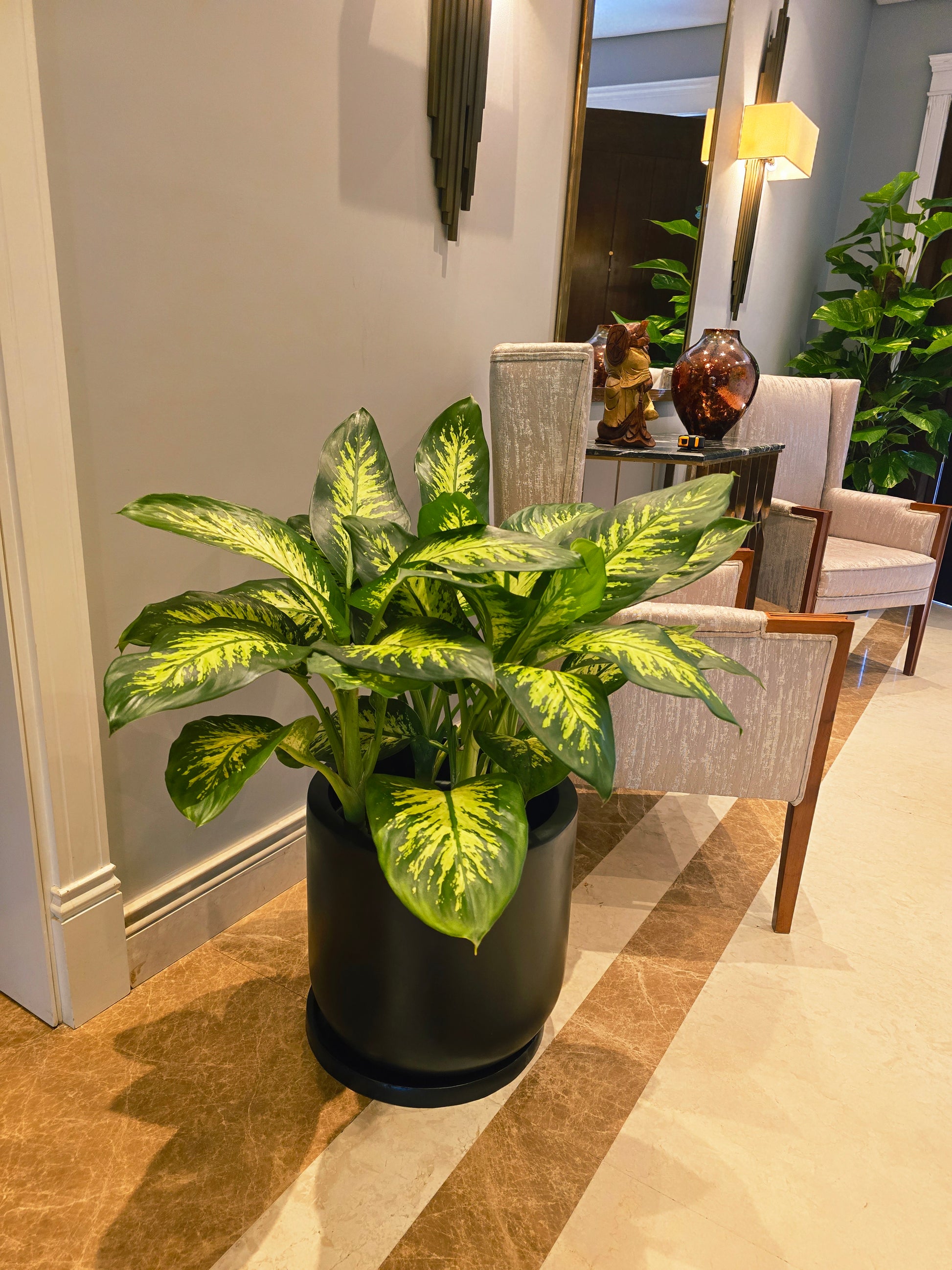 50cm Fiber Glass Pot - Plantcultcairo