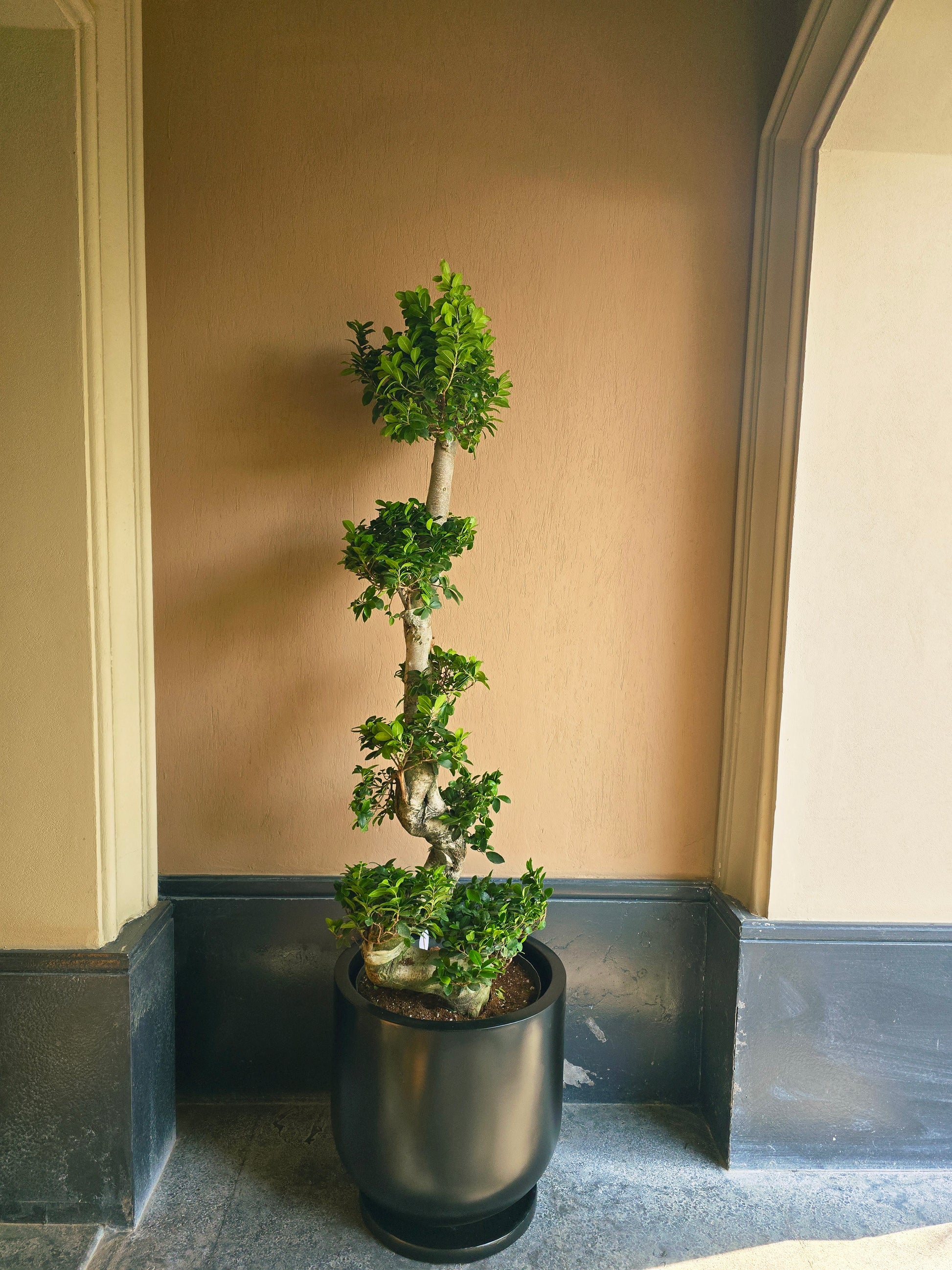 Large Fiberglass Trio - Plantcultcairo