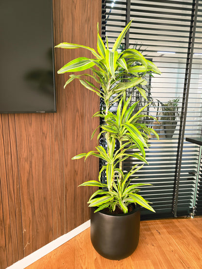 30cm Fiber Glass Pot - Plantcultcairo